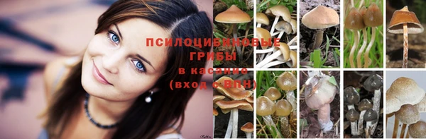Альфа ПВП Алексеевка