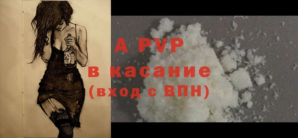 ПСИЛОЦИБИНОВЫЕ ГРИБЫ Абаза