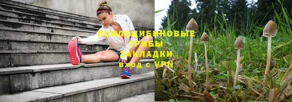 сатива Алексин