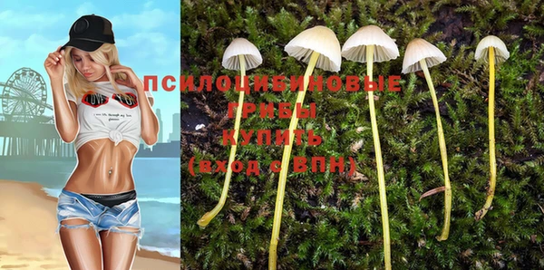 Альфа ПВП Алексеевка
