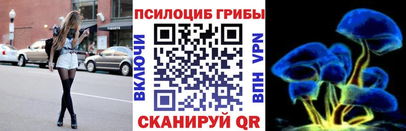 купить наркотик  Губкин  Псилоцибиновые грибы прущие грибы 